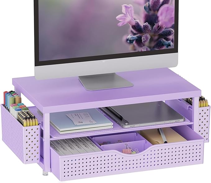 gianotter Desk Organizers and Accessories, Monitor Stand with Drawer and 2 Pen Holder, Desktop Organizer Suitable for Offices and Dormitories (Purple-Plain)