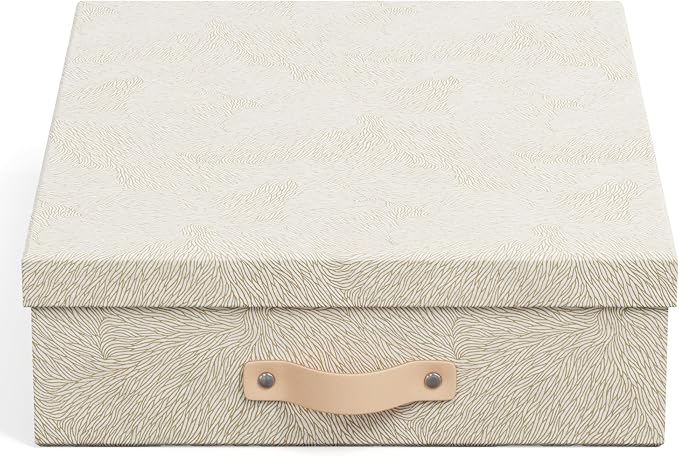 Bigso Oskar Fiberboard Document Storage Box with Lid for A4 and Letter Size Papers - Stylish, Sturdy, and Stackable Keepsake Box with Leather Handle - W10.2in x D13.8in x H3.3in - Waves Gold