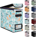 BALEINE File Organizer Box with Lid, Collapsible File Folder Organizer with Plastic Slide, Hanging File Folder Box for Office Document Storage (1 Pack, Spring Stroll, S)