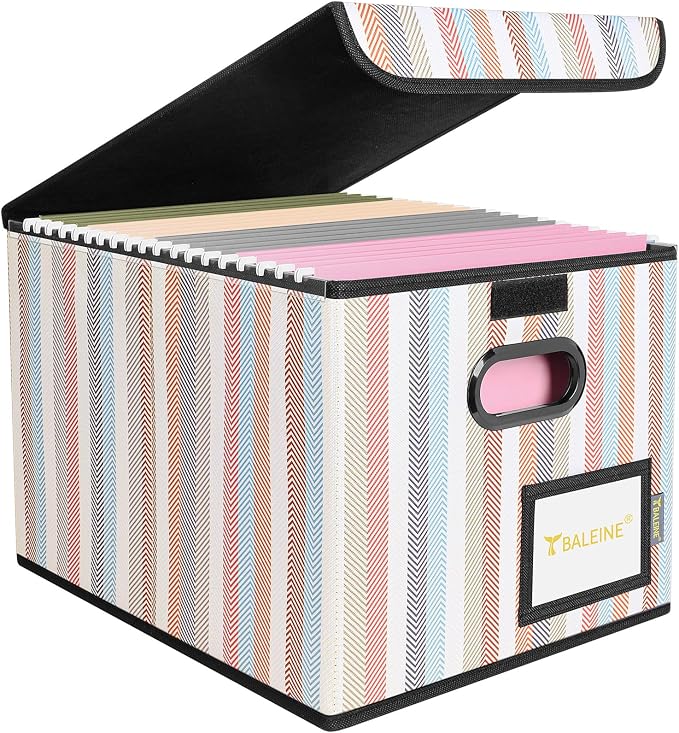 BALEINE File Organizer Box with Lid, Collapsible File Folder Organizer with Plastic Slide, Hanging File Folder Box for Office Document Storage (1 Pack, Color Stripe)