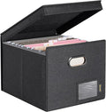 BALEINE File Organizer Box with Lid, Collapsible File Folder Organizer with Plastic Slide, Hanging File Folder Box for Office Document Storage (Tab Friendly, 1 Pack, Black)