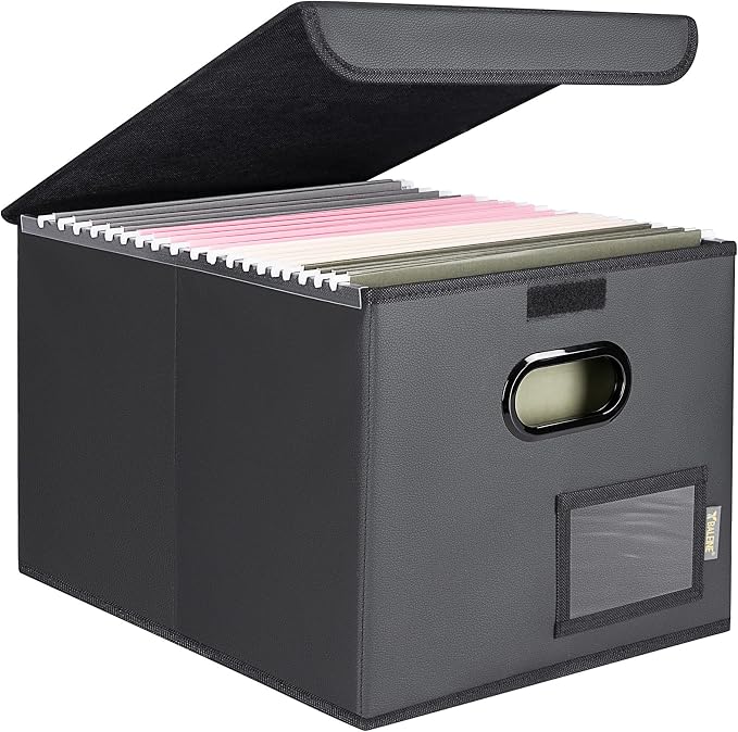 BALEINE File Organizer Box with Lid, Collapsible File Folder Organizer with Plastic Slide, Hanging File Folder Box for Office Document Storage (1 Pack, PU, Black)